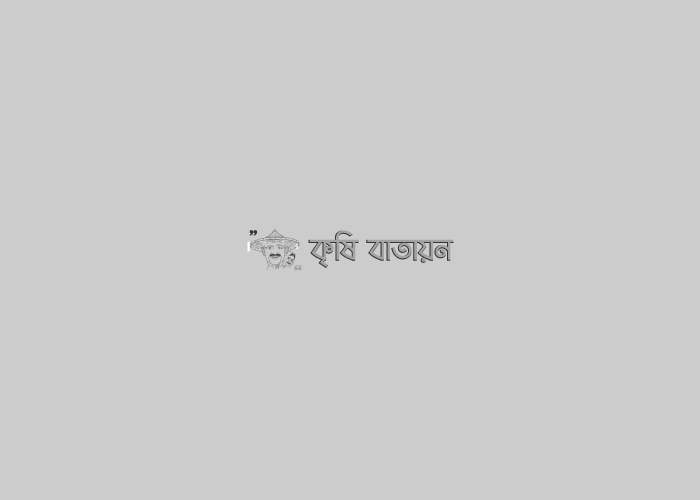 “বসতবাড়িতে সবজি চাষ সুস্থ থাকি বারো মাস”